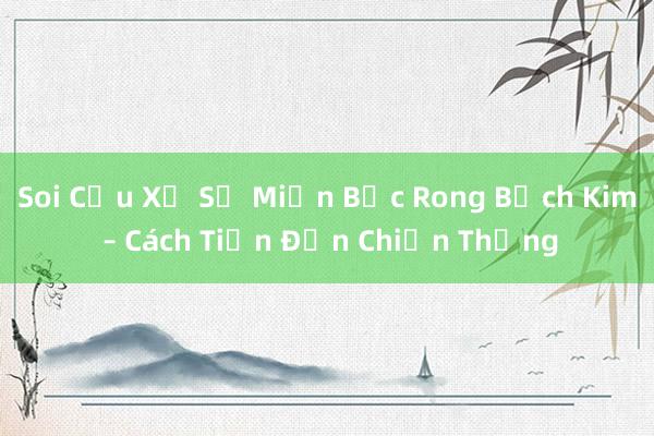 Soi Cầu Xổ Số Miền Bắc Rong Bạch Kim – Cách Tiến Đến Chiến Thắng