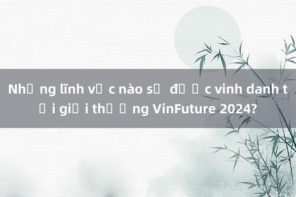 Những lĩnh vực nào sẽ được vinh danh tại giải thưởng VinFuture 2024?